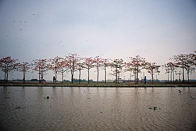 NEOWIZ的《追逐末日之光》将参加BIC Festival 2024